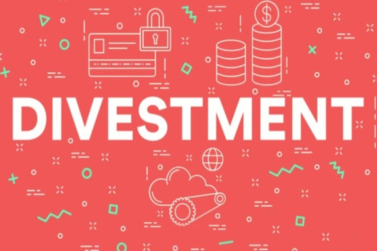 divestment, disinvestment