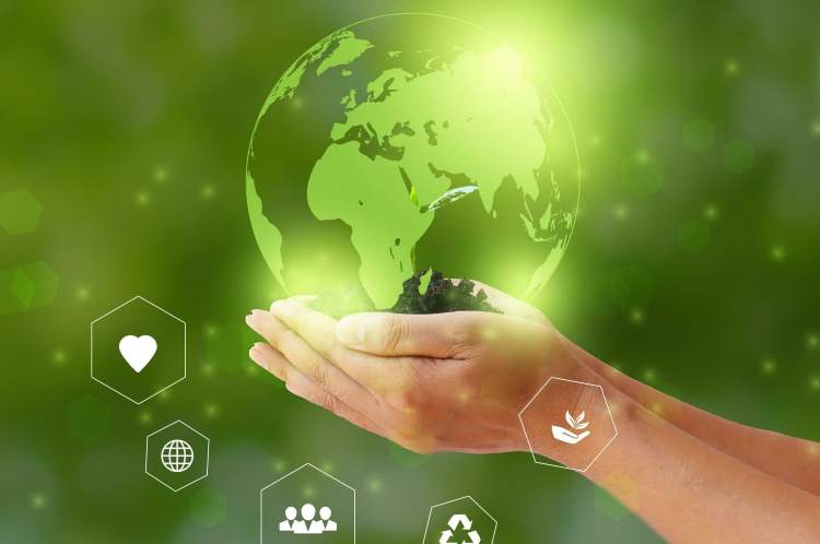 CSR spending on environment