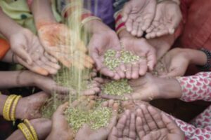 Gujarat’s digital food currency pilot