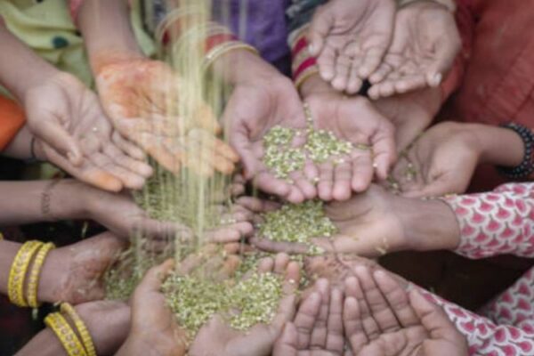 Gujarat’s digital food currency pilot