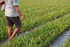 MNREGA, VB-GRAM-G reform