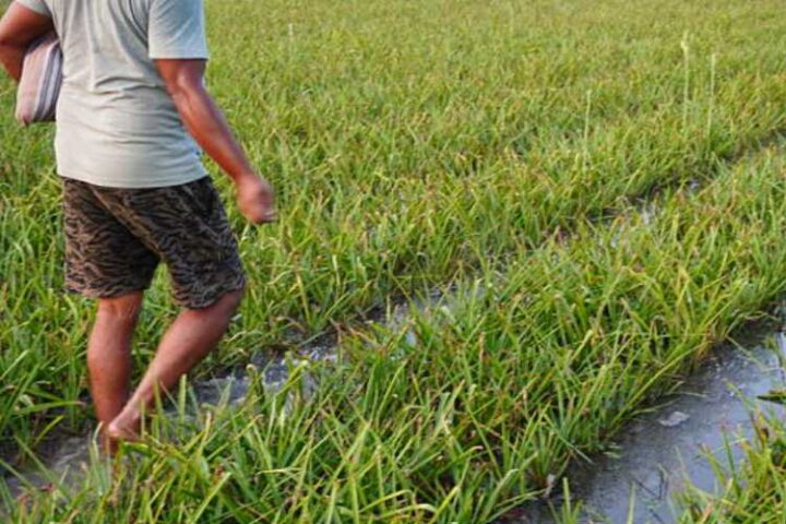 MNREGA, VB-GRAM-G reform