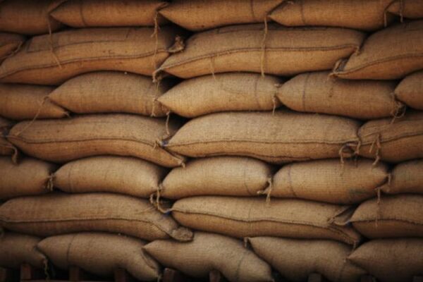 Food procurement policy