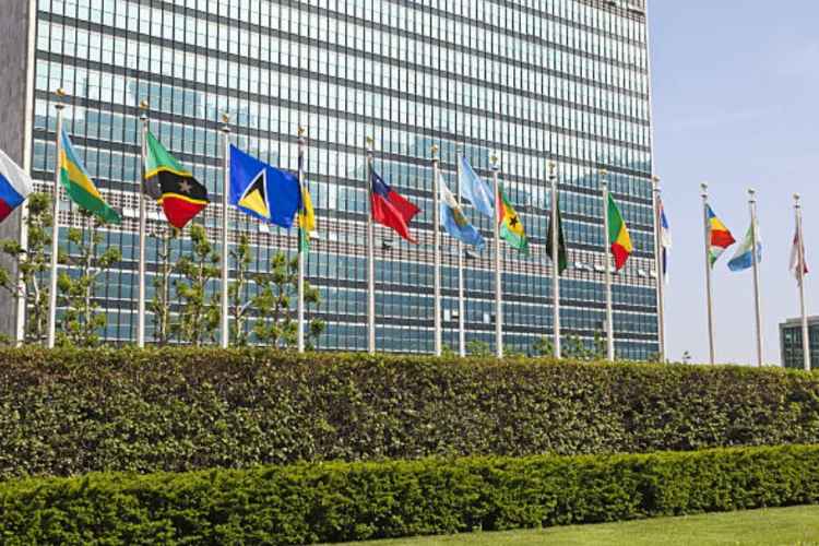 WTO, digital trade rules