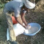 India fertiliser imports