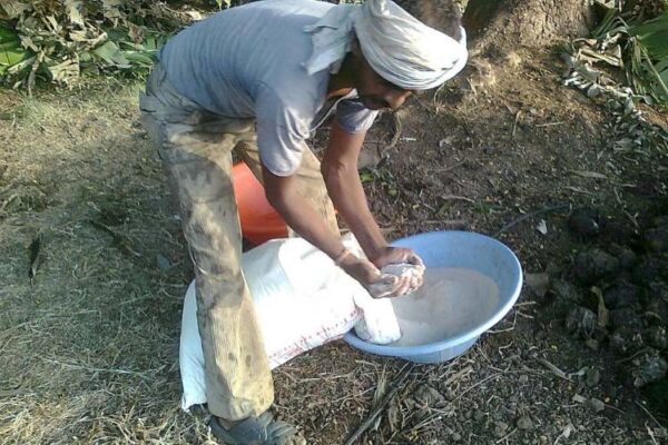 India fertiliser imports