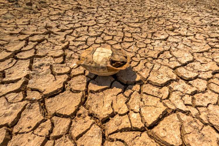 heatwaves and floods india