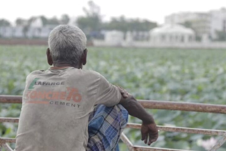Farmer suicides: