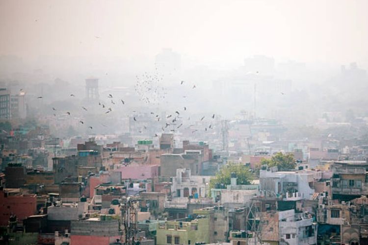 Air pollution