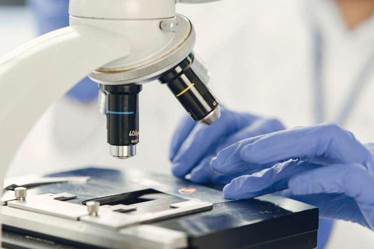 rare disease policy india