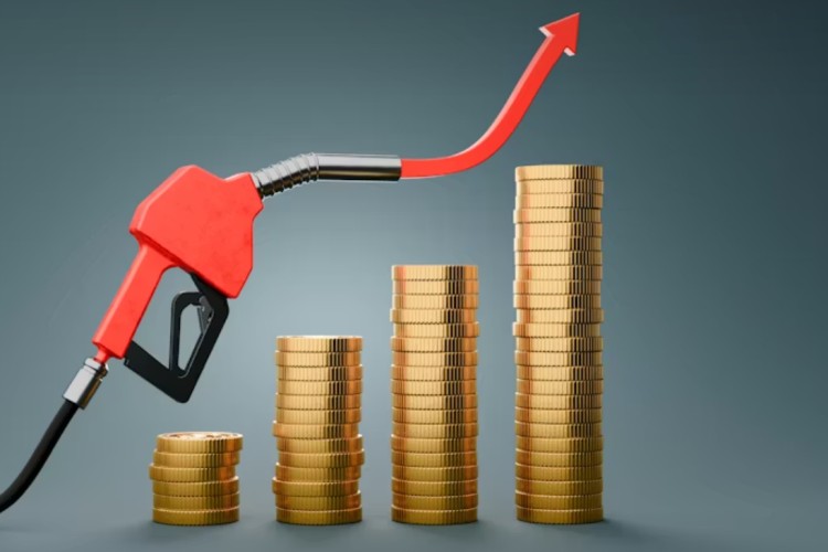 fuel subsidies