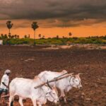 Deficient monsoon