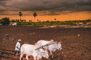 Deficient monsoon