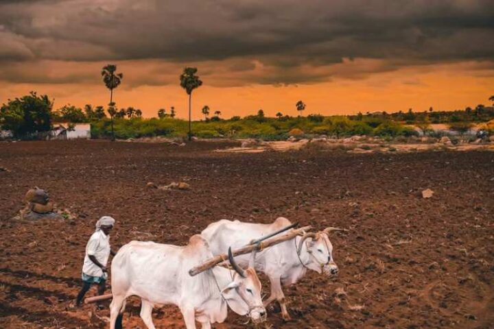 Deficient monsoon