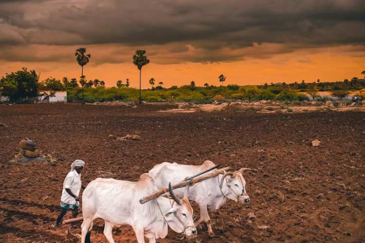 Deficient monsoon
