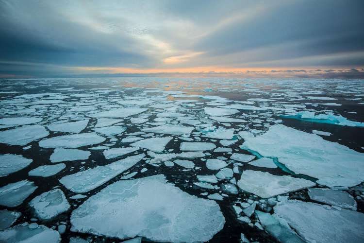 global impact of Arctic warming