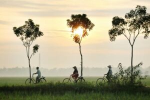 weak monsoon