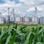 Cheaper ethanol petrol