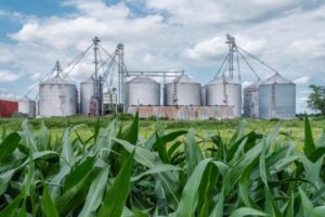 Cheaper ethanol petrol