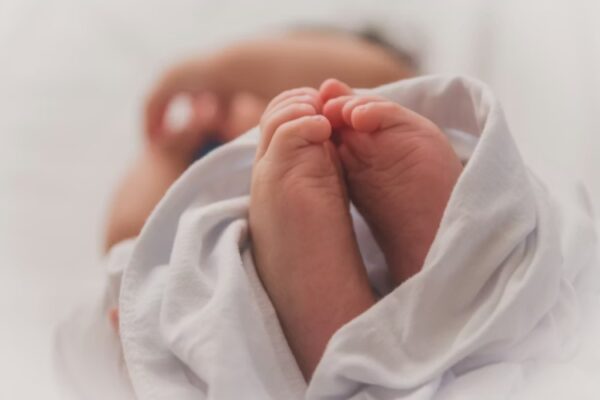 fertility decline