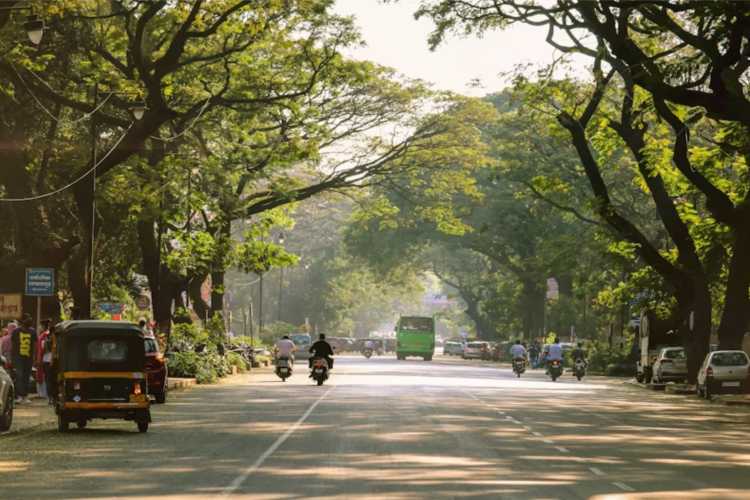 Urban heat in India