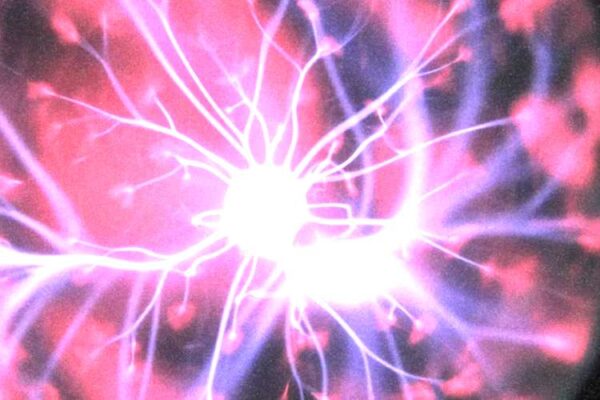 Mega Science Vision 2035