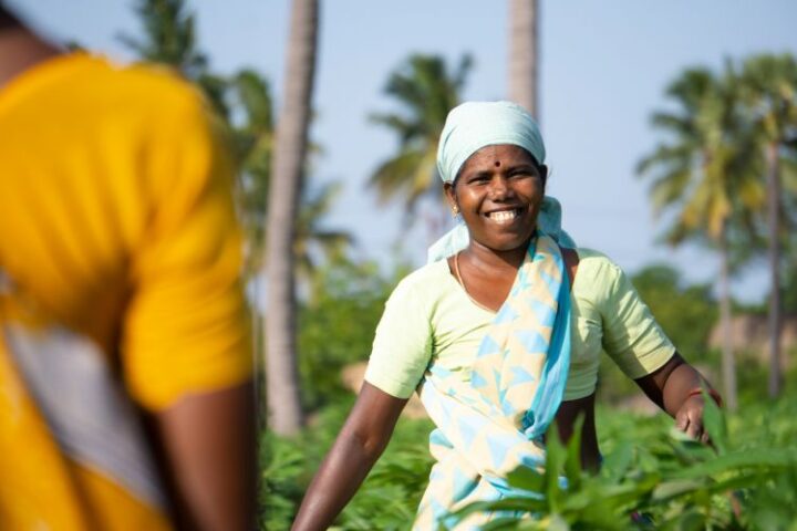 Cash transfers to women