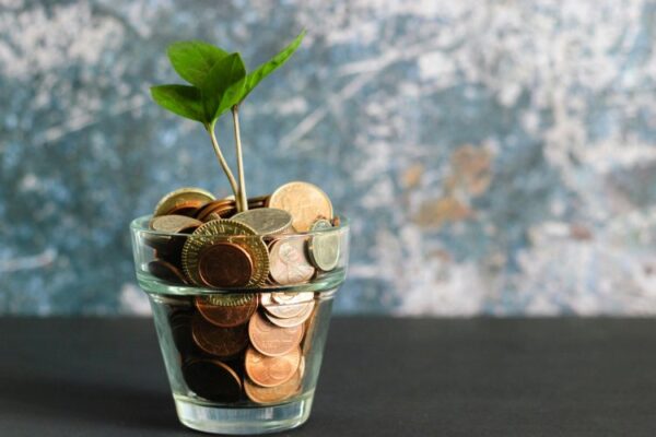 Specialised investment funds