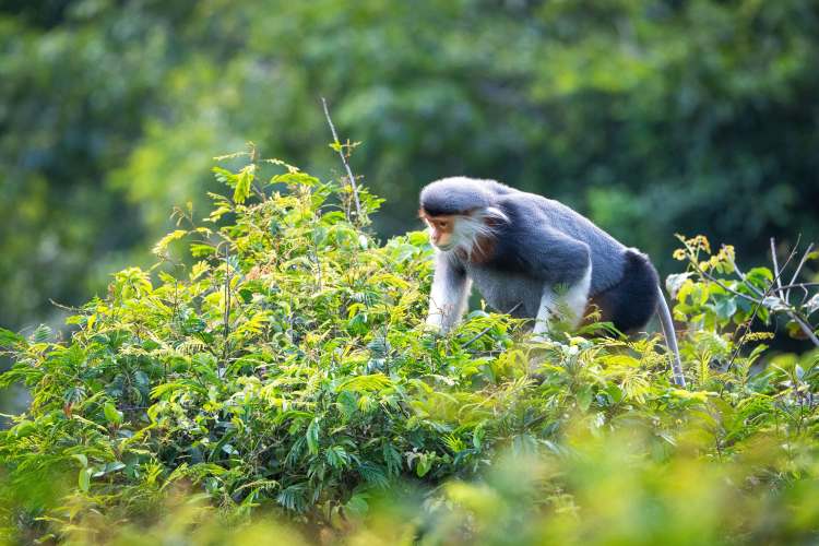 Biodiversity spending and outcomes