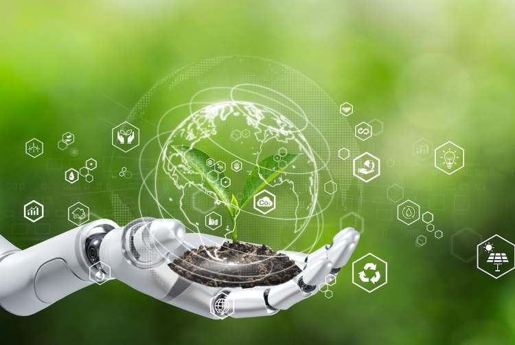 AI and sustainability