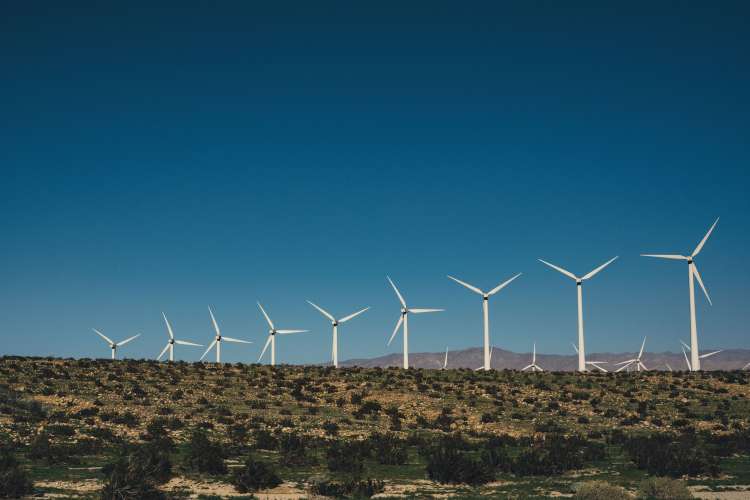 AI and sustainability