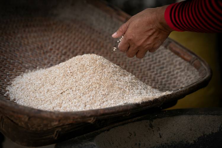 rice exports