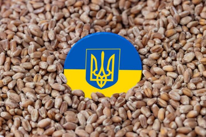 Ukraine war