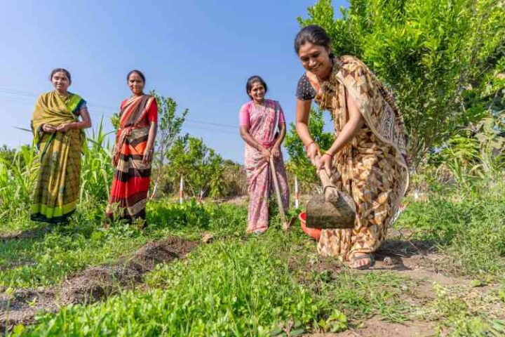 Women’s self-employment