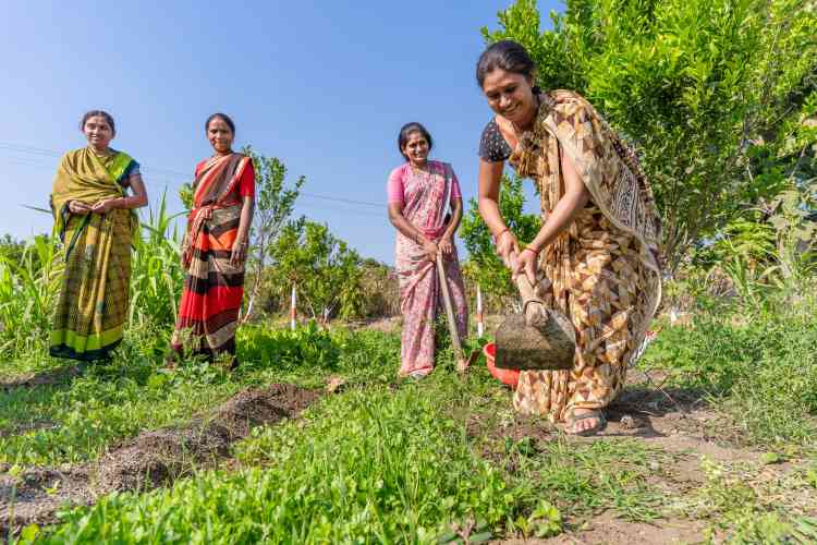 Women’s self-employment